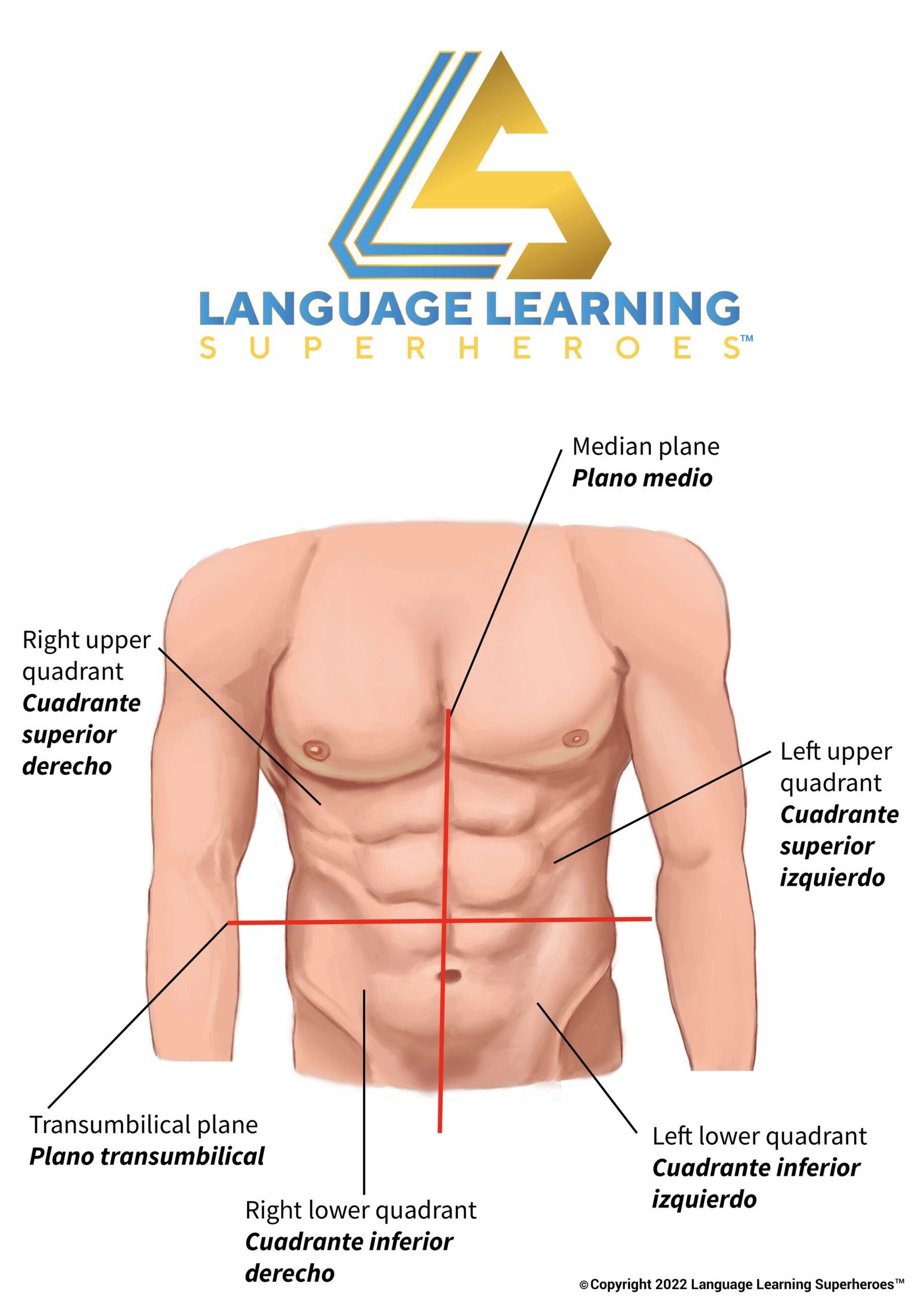 General Surgery — original book illustration 1