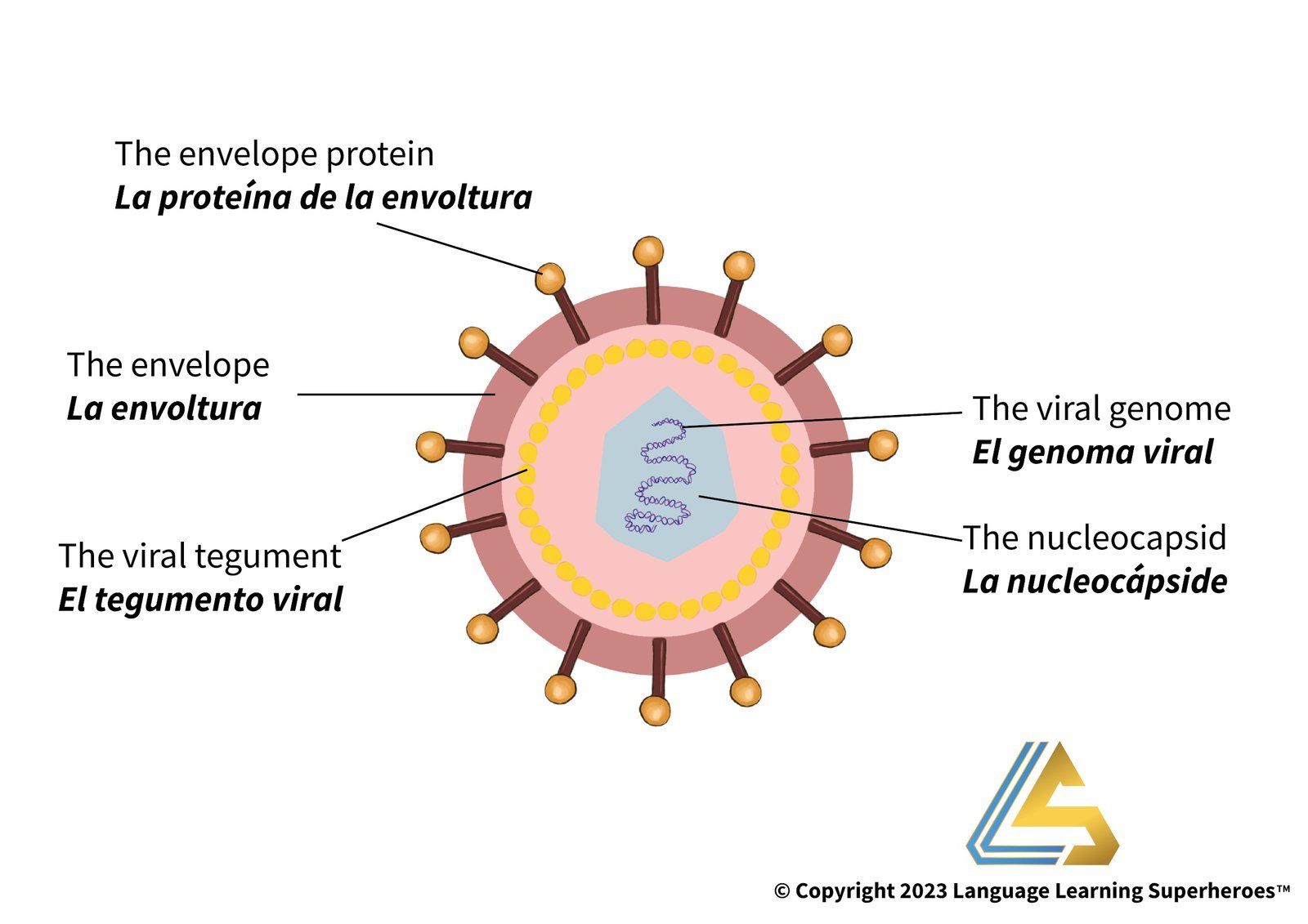 Infectious Disease / COVID-19 — original book illustration 2